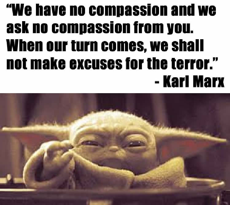 The meme features a photo of the character Baby Yoda from the Star Wars series, with a caption that is a quote from the character's "Mandolorian" series. The quote is a response to a question about the character's feelings about being taken from his home planet and being forced to fight. The quote is a sarcastic and humorous response to the situation.